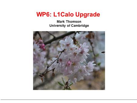 Mark Thomson University of Cambridge WP6: L1Calo Upgrade.