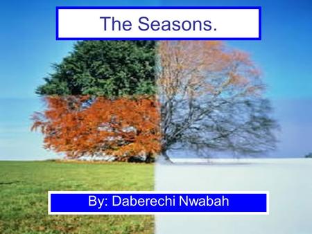 The Seasons. By: Daberechi Nwabah. Types of Seasons Winter Spring Summer Fall.