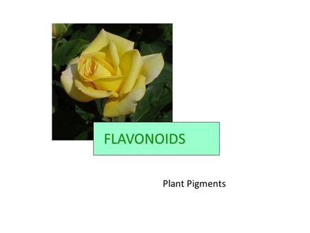 FLAVONOIDS Plant Pigments.