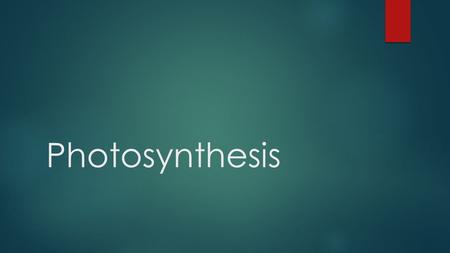 Photosynthesis. Let’s talk about light! Why do leaves change color?  Pigments!  Chlorophyll - Converts Red and blue light into chemical energy.  Two.