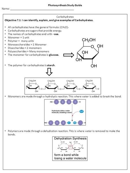 Photosynthesis Study Guide Name: ____________________________________________ Carbohydrates Objective 7.1: I can identify, explain, and give examples of.