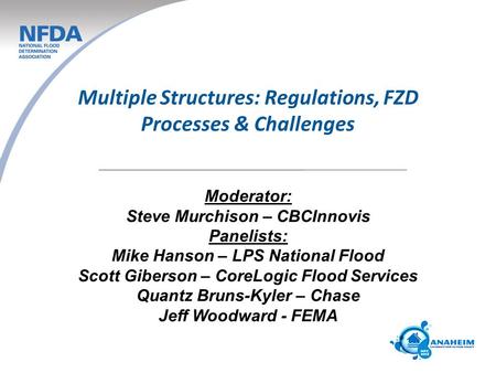 Multiple Structures: Regulations, FZD Processes & Challenges