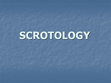 SCROTOLOGY.