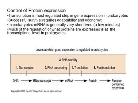 Control of Protein expression