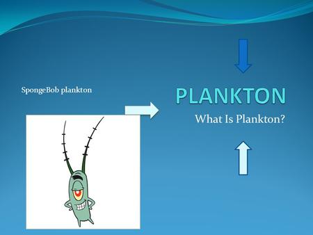 What Is Plankton? SpongeBob plankton What is Plankton? Plankton.