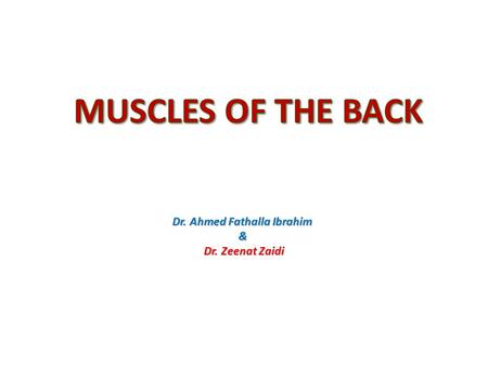 Dr. Ahmed Fathalla Ibrahim & Dr. Zeenat Zaidi. OBJECTIVES At the end of the lecture, students should be able to: the different groups of back muscles.