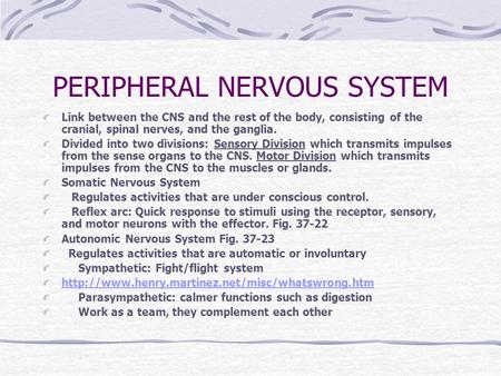 PERIPHERAL NERVOUS SYSTEM Link between the CNS and the rest of the body, consisting of the cranial, spinal nerves, and the ganglia. Divided into two divisions: