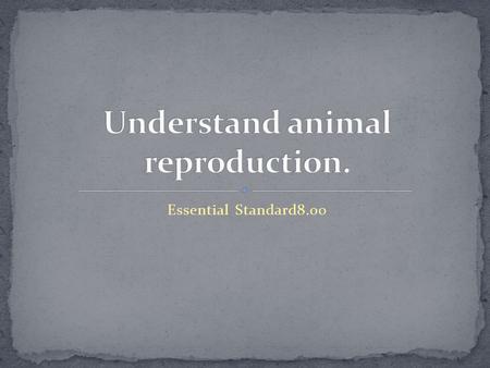 Essential Standard8.00. Objective 8.01 Castration- removing the testicles of male animals to prevent breeding. Colostrum- the first milk produced after.