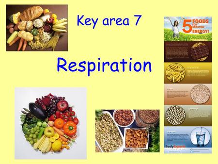 Key area 7 Respiration.