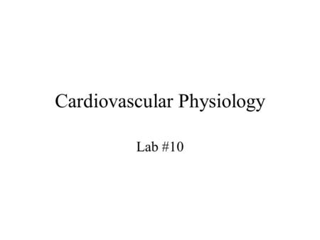 Cardiovascular Physiology Lab #10 Path of Cardiac Excitation Sinoatrial (SA) Node –pacemaker of the heart Atrioventricular (AV) Node –Delays conduction.