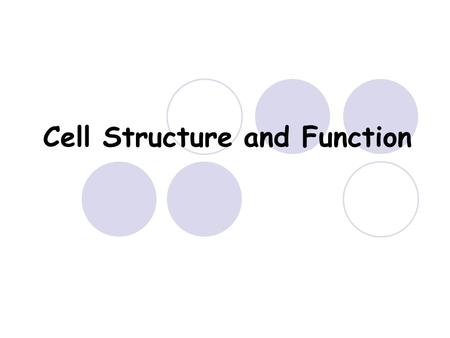 Cell Structure and Function. Human Epidermis – Animal cells.