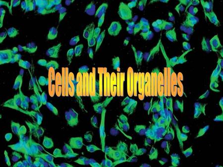 Cells and Their Organelles