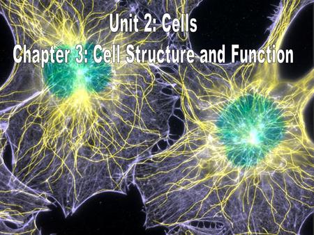 Chapter 3: Cell Structure and Function