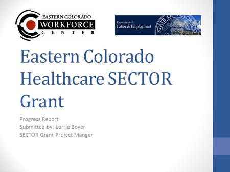 Eastern Colorado Healthcare SECTOR Grant Progress Report Submitted by: Lorrie Boyer SECTOR Grant Project Manger.