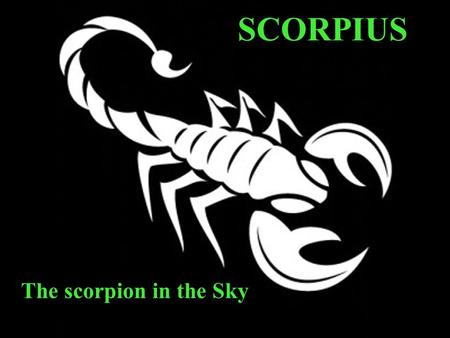 SCORPIUS The scorpion in the Sky. SCORPIUS Latin for Scorpion 33 rd largest of 88 constellations in the sky 1 of the 13 Zodiac signs 18 main stars.