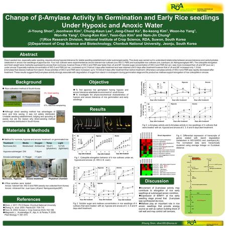  Method for normxia, hypoxia and anoxia treatment on germinated rice  4 Rice varieties were tested: Anoxic tolerant Var; WD-3 and PBR (weedy rice collected.