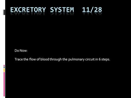 Do Now: Trace the flow of blood through the pulmonary circuit in 6 steps.