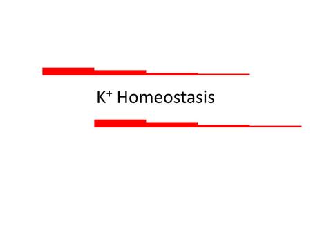 K + Homeostasis. The need: ECF K + concentration is critical for the function of excitable cells However, about 98% of is in K + ICF ICF concentration.