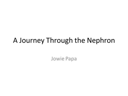 A Journey Through the Nephron Jowie Papa. Kidneys and Homeostasis Functions of the loop of Henle Osmoregulation – Controls balance of water in blood and.