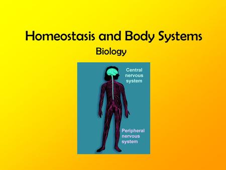 Homeostasis and Body Systems