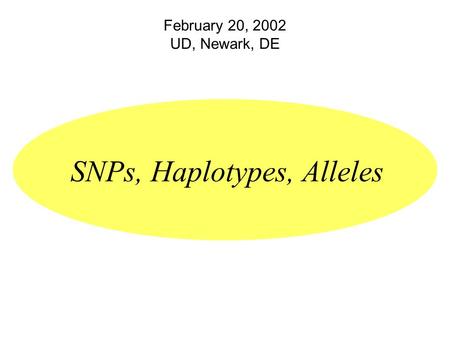 February 20, 2002 UD, Newark, DE SNPs, Haplotypes, Alleles.