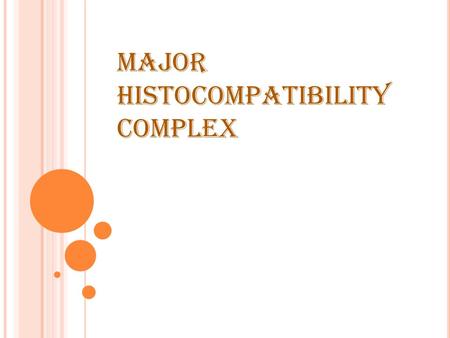 MAJOR HISTOCOMPATIBILITY COMPLEX. MAJOR HISTOCOMPATIBILITY COMPLEX (MHC): Is a segment of the short arm (p) of chromosome 6 containing several genes These.