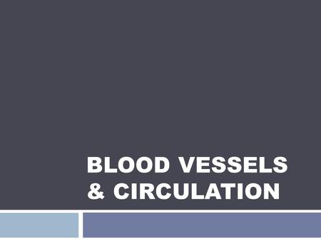 Blood Vessels & Circulation