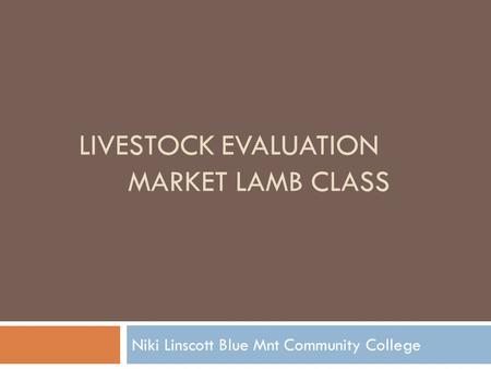 Livestock Evaluation Market Lamb class