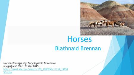 Horses Blathnaid Brennan Horses. Photography. Encyclopædia Britannica ImageQuest. Web. 31 Mar 2015.