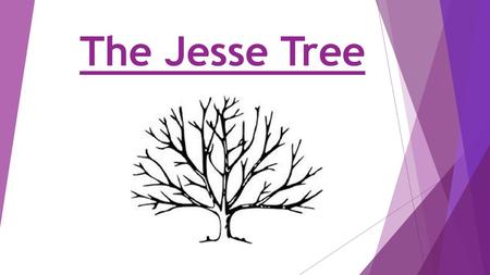 The Jesse Tree.