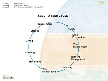 Course:Grain Quality Module 2: Seed to Seed Quality Lesson 1 :How do operations of a farm affect quality? SEED TO SEED CYCLE.