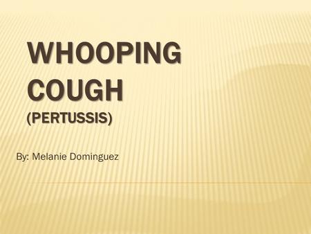 By: Melanie Dominguez WHAT IS PERTUSSIS? Pertussis, or commonly known as whooping cough, is a bacterial respiratory infection that is spread from person.