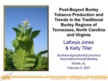 CAAP Agricultural Policy Analysis Center - University of Tennessee - 310 Morgan Hall - Knoxville, TN 37996-4519 www.agpolicy.org - phone: (865) 974-7407.