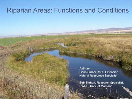 Riparian Areas: Functions and Conditions Authors: Gene Surber, MSU Extension Natural Resources Specialist Bob Ehrhart, Research Specialist, RWRP, Univ.