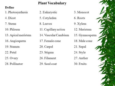 Plant Vocabulary Define 1. Photosynthesis 2. Eukaryotic 3. Monocot