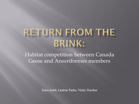 Habitat competition between Canada Geese and Anseriformes members Erica Judd, Lindsie Parks, Vicky Harden.