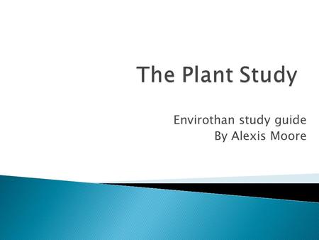 Envirothan study guide By Alexis Moore.  The leaf is broad, flat and not lobed.  Smooth bottom  Asymmetrical base  They are usually one to five inches.