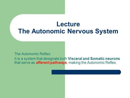 Lecture The Autonomic Nervous System