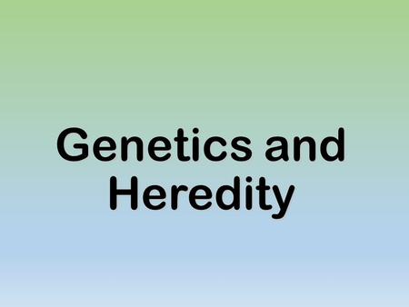 Genetics and Heredity. Vocabulary Dominant- traits that are expressed. Dominant- traits that are expressed. Recessive- traits that are covered up. Recessive-