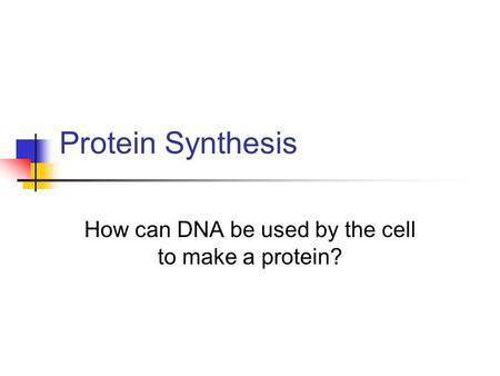 Protein Synthesis How can DNA be used by the cell to make a protein?