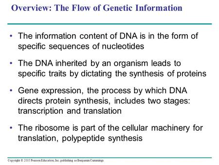 Copyright © 2005 Pearson Education, Inc. publishing as Benjamin Cummings Overview: The Flow of Genetic Information The information content of DNA is in.