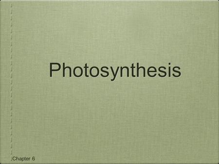 Photosynthesis.