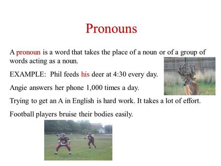 Pronouns A pronoun pronoun is a word that takes the place of a noun or of a group of words acting as a noun. EXAMPLE: Phil feeds his deer at 4:30 every.