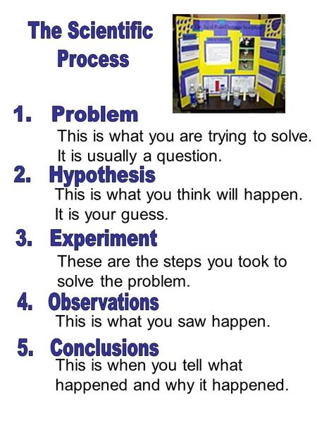 This is what you are trying to solve. It is usually a question. This is what you think will happen. It is your guess. These are the steps you took to solve.