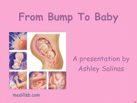 From Bump To Baby A presentation by Ashley Salinas medillsb.com.