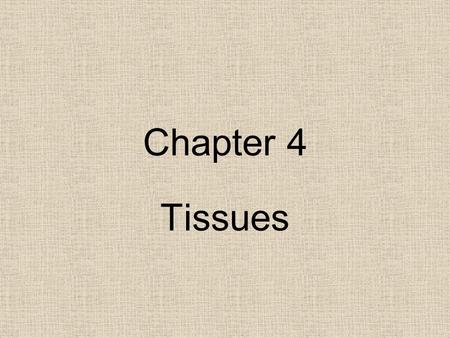 Chapter 4 Tissues. Four Tissue Types Epithelia Connective Muscle Nervous.