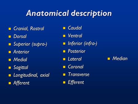 Anatomical description Cranial, Rostral Cranial, Rostral Dorsal Dorsal Superior (supra-) Superior (supra-) Anterior Anterior Medial Medial Sagittal Sagittal.