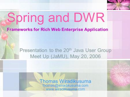 Spring and DWR Frameworks for Rich Web Enterprise Application Thomas Wiradikusuma  Presentation to the 20 th.