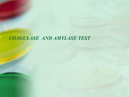 COAGULASE AND AMYLASE TEST