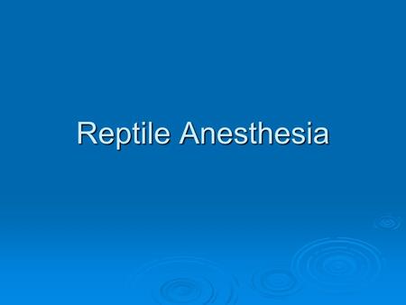 Reptile Anesthesia.  Injectable and inhalant anesthetics are commonly employed both for surgery and sedation for diagnostic or treatment procedures.